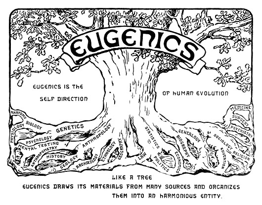 Costruire l’uomo. L’eugenetica tra storia e biopolitica