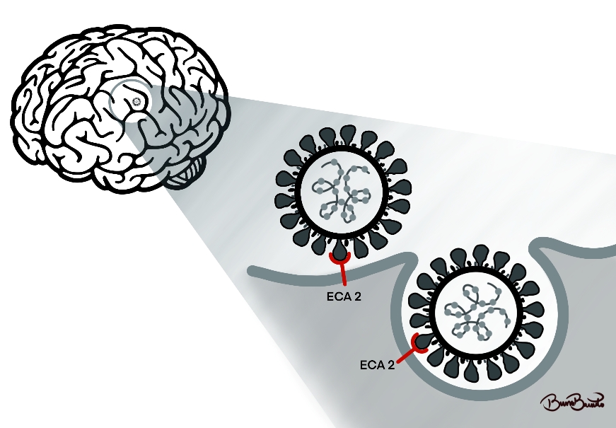 THE IMPACT OF ALZHEIMER DISEASE ON THE CLINICAL OUTCOME OF COVID-19 A SYSTEMATIC REVIEW